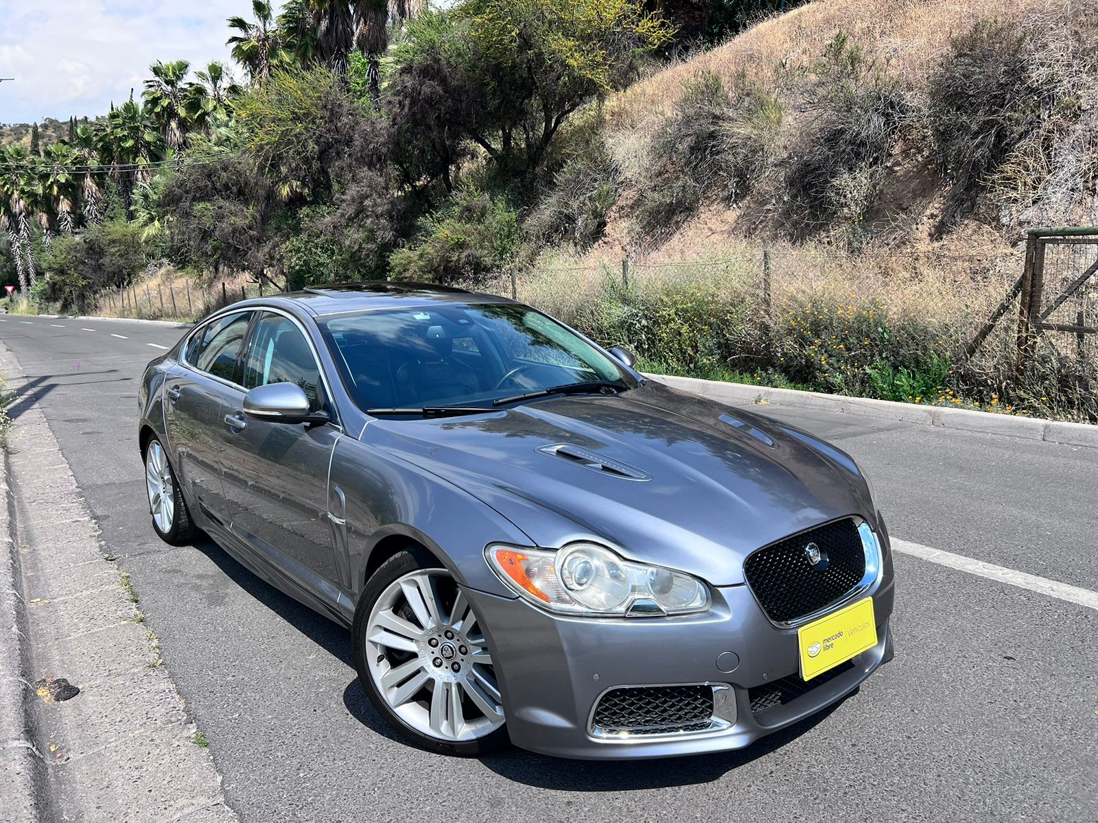 WhatsApp Image 2025-10-29 at 19.47.16 (3)