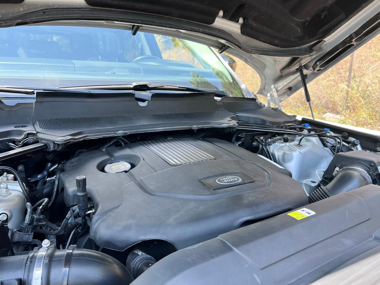 WhatsApp Image 2025-11-03 at 17.11.38 (1)