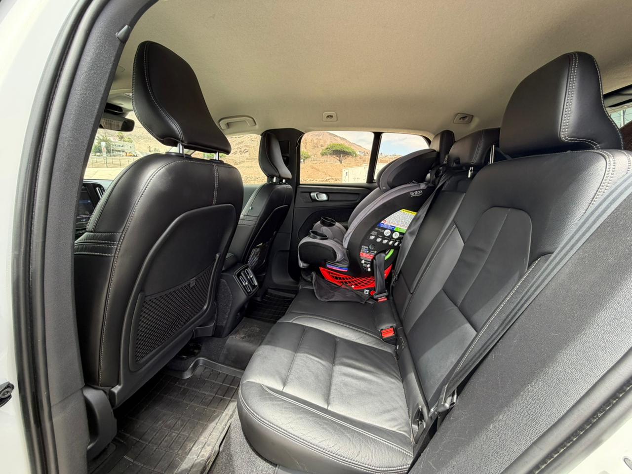 WhatsApp Image 2026-02-16 at 10.46.21 PM (1)